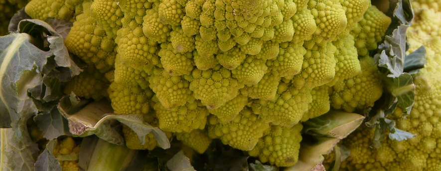 Romanesco cauliflower (https://cdn.pixabay.com/photo/2011/04/21/03/39/romanesco-6996_960_720.jpg)